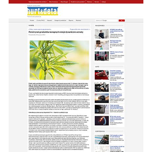 Hurtidetal.pl